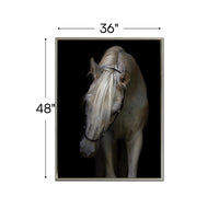 Mystical Horse