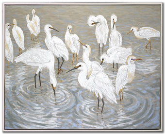 compare product Herons and Egrets