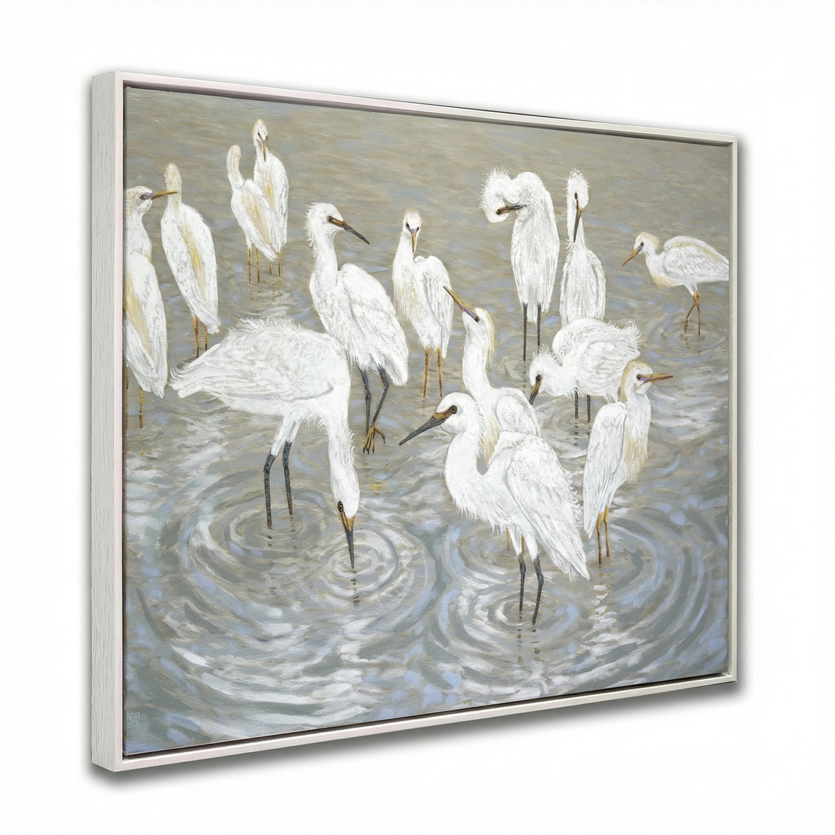 Herons and Egrets