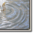 Herons and Egrets