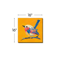 Bold Plumage II