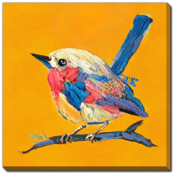 compare product Bold Plumage II