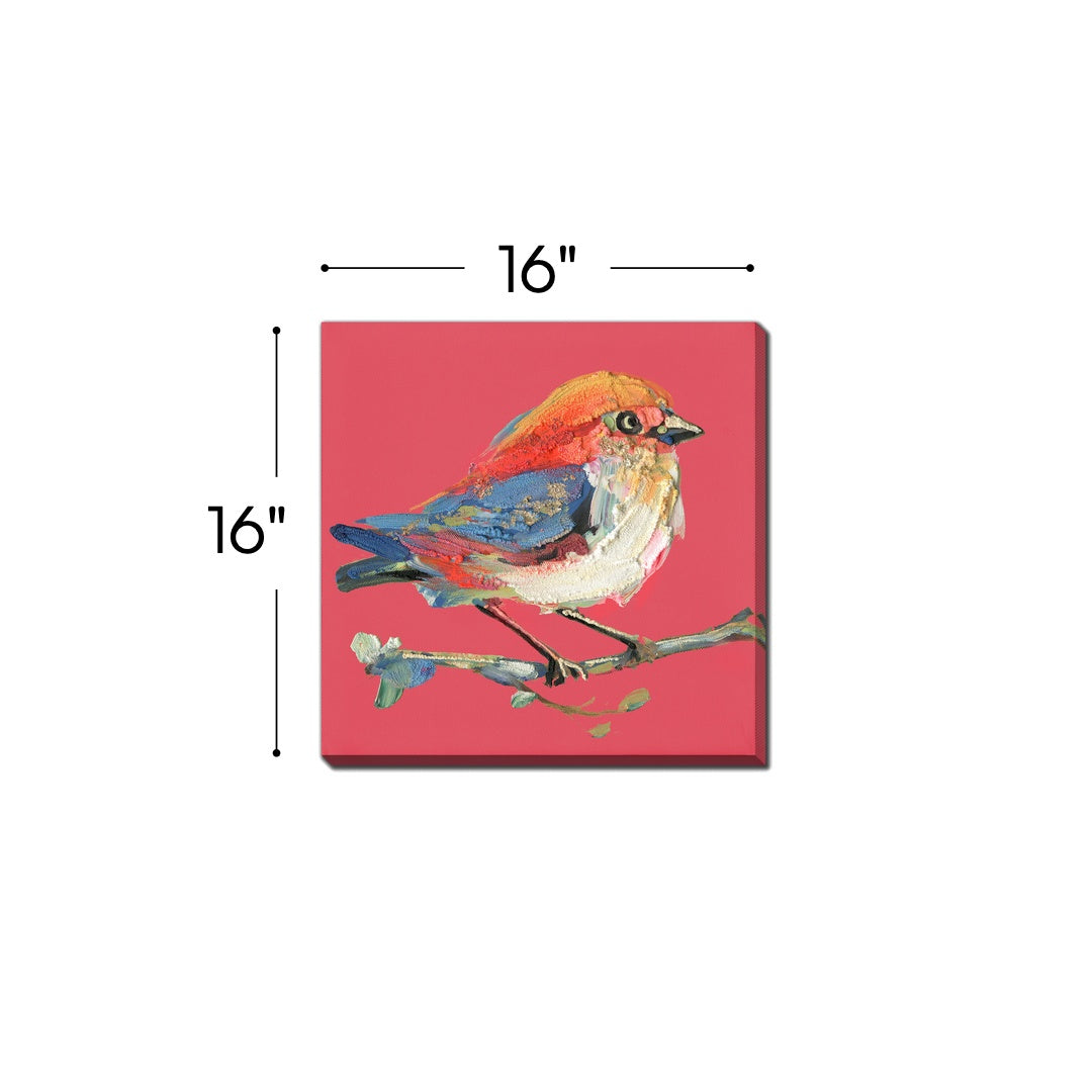 Bold Plumage III