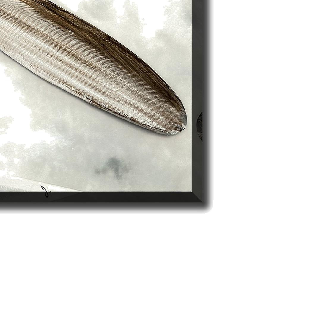 Vintage Propeller