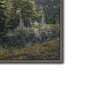 Alpine Silence