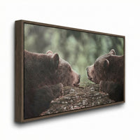 Grizzly Gaze