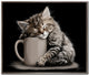 Tea Break
