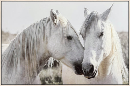 Equine Spirits