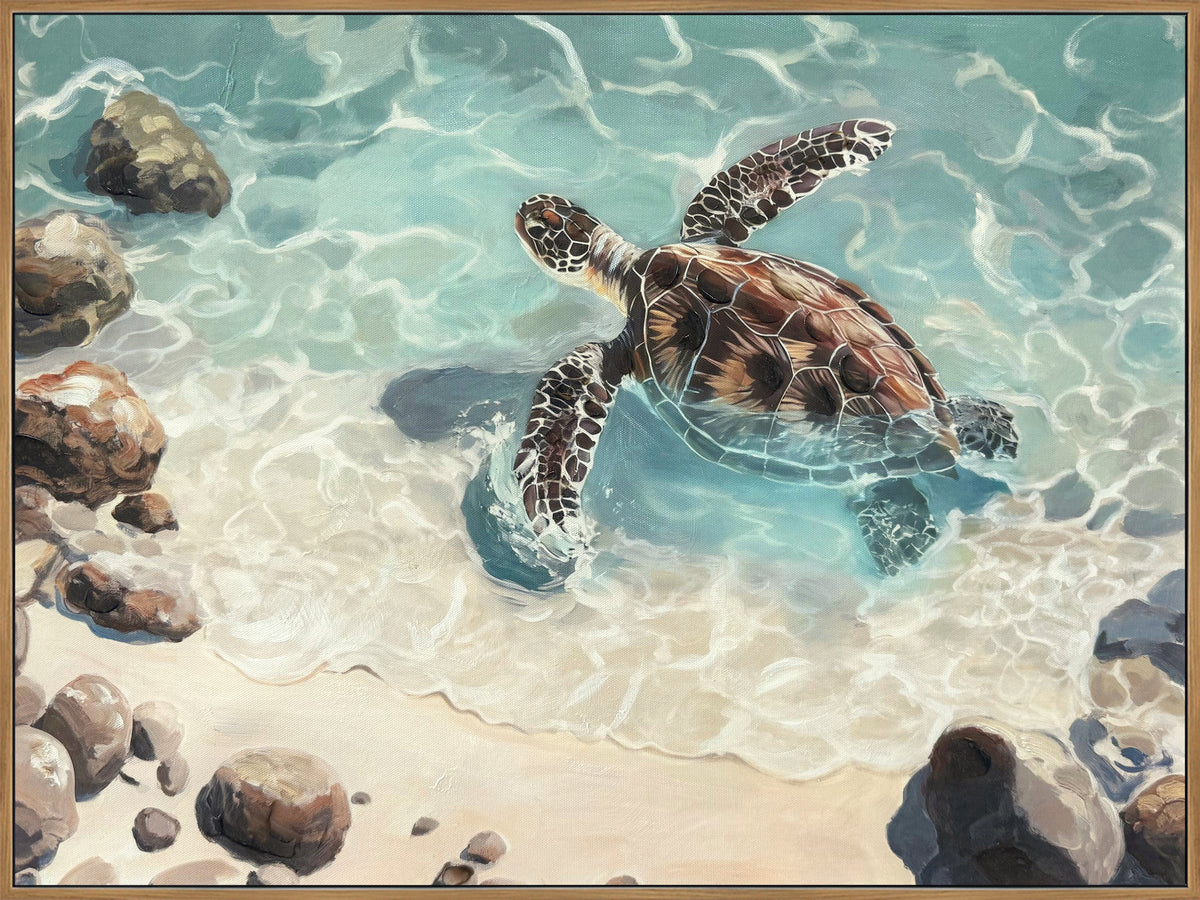 Reef Explorer I