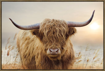 compare product Highland Sunset