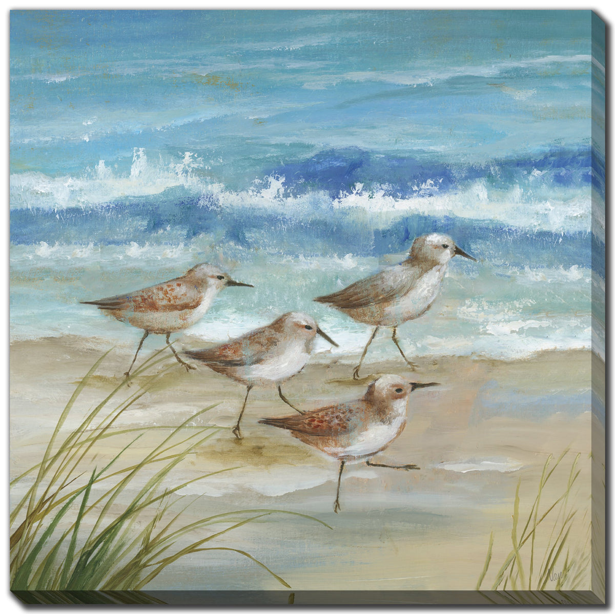 Sandpiper Gathering I