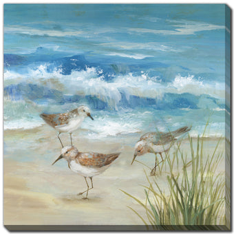compare product Sandpiper Gathering II