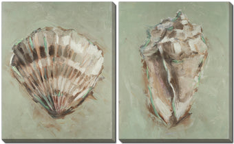 compare product Aqua Shell Study Set of 2